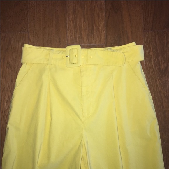ANTHROPOLOGIE high waisted cropped belted pants - Picture 4 of 7